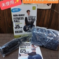 未開封✨ノンバーストフィットネスボール