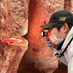 年間休日120日以上！【仙台卸売市場での食肉解体スタッフ】の画像
