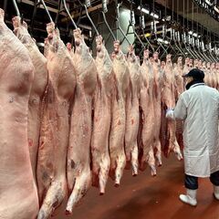 年間休日120日以上！【仙台卸売市場での食肉解体スタッフ】の画像