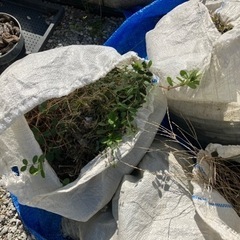残土 庭土 粘土質 田んぼ穴埋めなど  自宅まで取りに来てくれる方