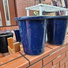 シンビジューム用植木鉢他10点選り取り