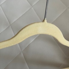 起毛　滑り止めハンガー 10本の画像