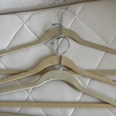 起毛　滑り止めハンガー 10本の画像