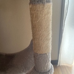 キャットタワー(2/20まで)の画像