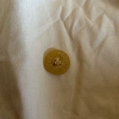 エルメス、スプリングコート、難ありの画像