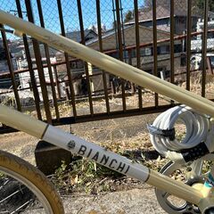 ミニベロ】Bianchi Merlo