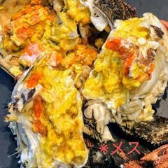 福岡県産　博多活モクズガニ　1杯300円〜の画像