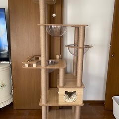 大型キャットタワー 