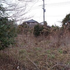 【畑あげます】相続した久喜市の畑２４８㎡を０円でお譲りします【農業者限定】 - 不動産