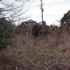 【畑あげます】相続した久喜市の畑２４８㎡を０円でお譲りします【農業者限定】 - 土地販売/土地売買
