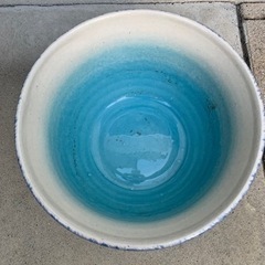 睡蓮鉢の画像