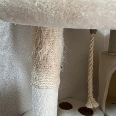 🐱購入者様決定🐱の画像