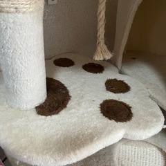 🐱購入者様決定🐱の画像