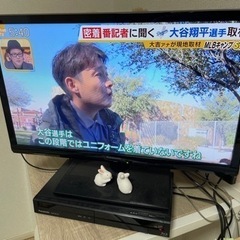【お渡し先決定】3/14~20日引き取り希望！Panasonic TV＋レコーダーセットの画像