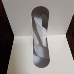 ティッシュケース
