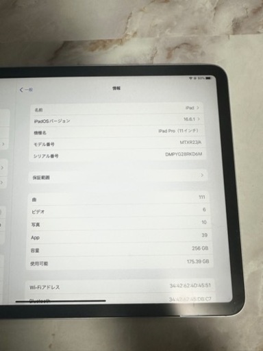 iPad pro 11インチ 1世代 256GB Wifiモデル