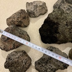浅間溶岩石　サイズミックスの画像