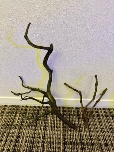 終了】枝状流木