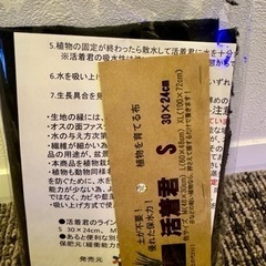 活着君