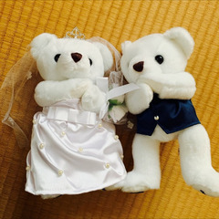 テディベア　セット
