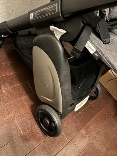 バガブーアント　対面可能、機内持ち込み可能