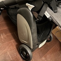 バガブーアント　対面可能、機内持ち込み可能の画像