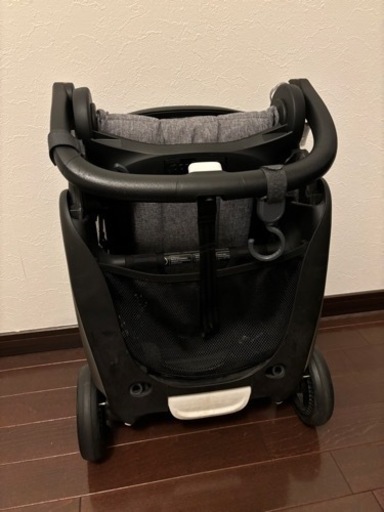 バガブーアント　対面可能、機内持ち込み可能