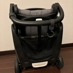 バガブーアント　対面可能、機内持ち込み可能の画像