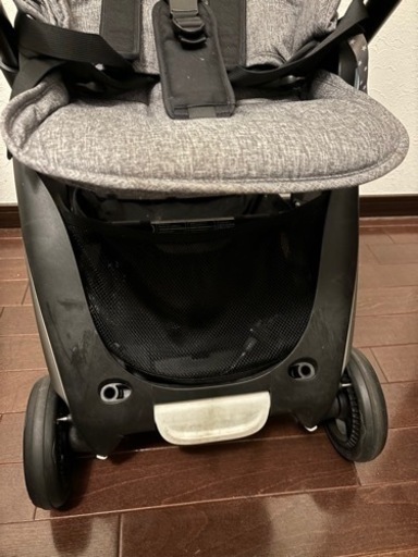 バガブーアント　対面可能、機内持ち込み可能