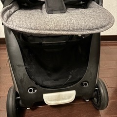 バガブーアント　対面可能、機内持ち込み可能の画像