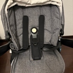 バガブーアント　対面可能、機内持ち込み可能の画像