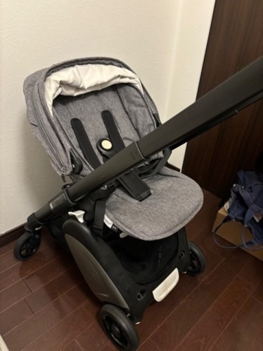 バガブーアント　対面可能、機内持ち込み可能