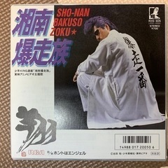 湘南爆走族 レコード