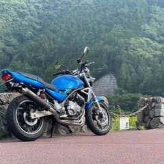 カワサキ バリオス2の画像