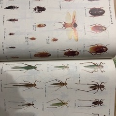 学習大図鑑の画像