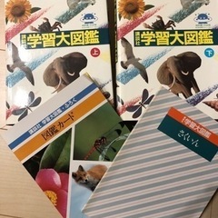 学習大図鑑の画像