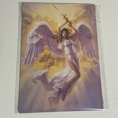 天光界カード　美品