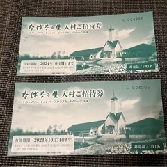 なばなの里 入村ご招待券  2枚