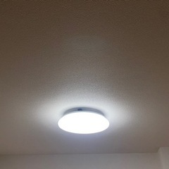 お譲り先決まりました。沢山のご連絡ありがとうございました。の画像