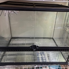 爬虫類ケージ GEXグラステラリウム6045 爬虫類用品セット