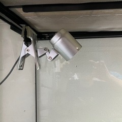 爬虫類ケージ GEXグラステラリウム6045 爬虫類用品セットの画像