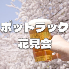 代々木公園で花見＆懇親会します。クイズ大会もあるかも♪