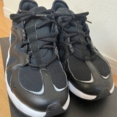 NIKE  AIRMAX GRAVITON エアマックス グラヴ...