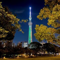 【日程確定】スカイツリーをバックに緑あふれる公園で路上ライブ（音楽、ダンス、漫才）してみませんか。 - イベント