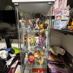 【定価16000円】コレクションケースの画像