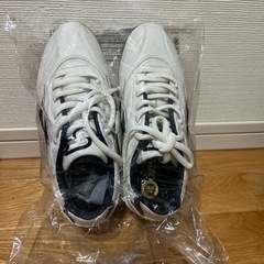 スパイク　ポイント （新品　未使用）