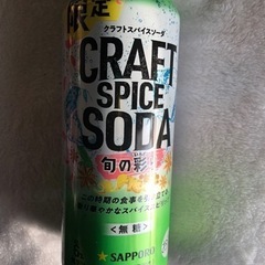 サッポロビール　サッポロ　クラフトスパイスソーダ　旬の彩り　５００ｍｌ  の画像