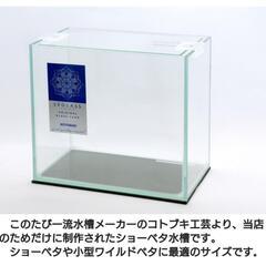 【限定】高級ベタ専用水槽 コトブキ工芸 中古品