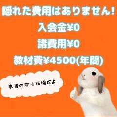新学年に向けて英会話をはじめませんか?の画像