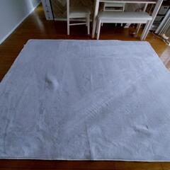 月曜日処分！０円✨カーペット